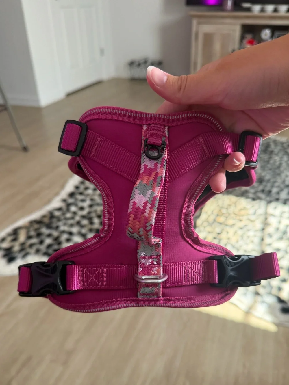 NEW Arcadia Trail Harness